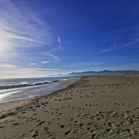 Appartement Climatise Vue Mer 208 Canet-en-Roussillon Εξωτερικό φωτογραφία